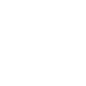Execution